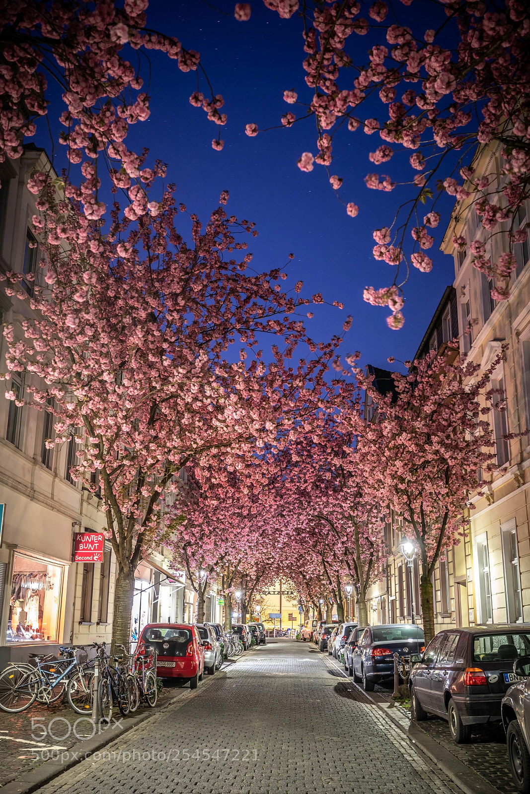 Canon EOS 5D Mark IV sample photo. Cherry blossom at dawn photography