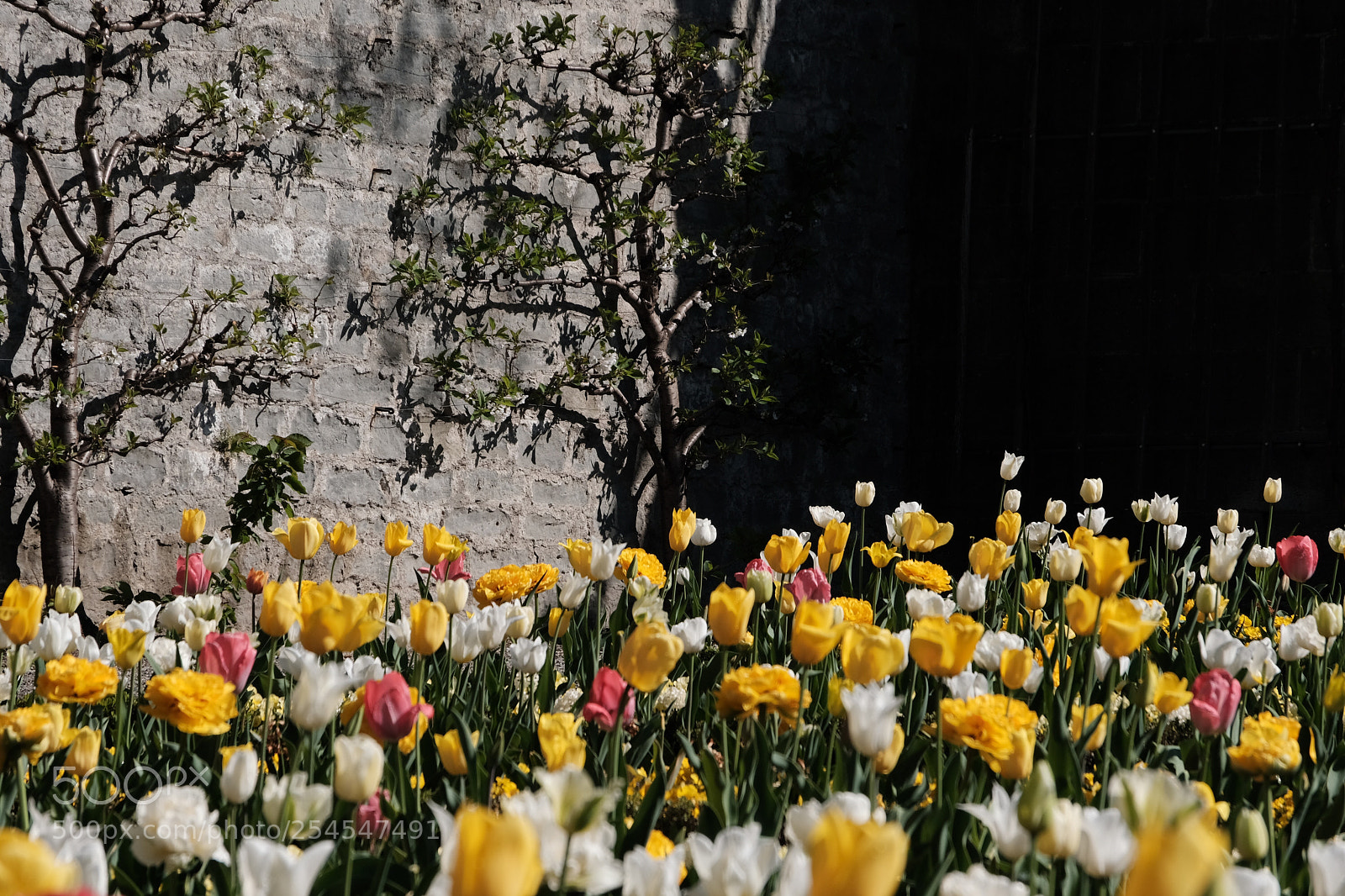 Fujifilm X-T2 sample photo. Rechberg zürich photography