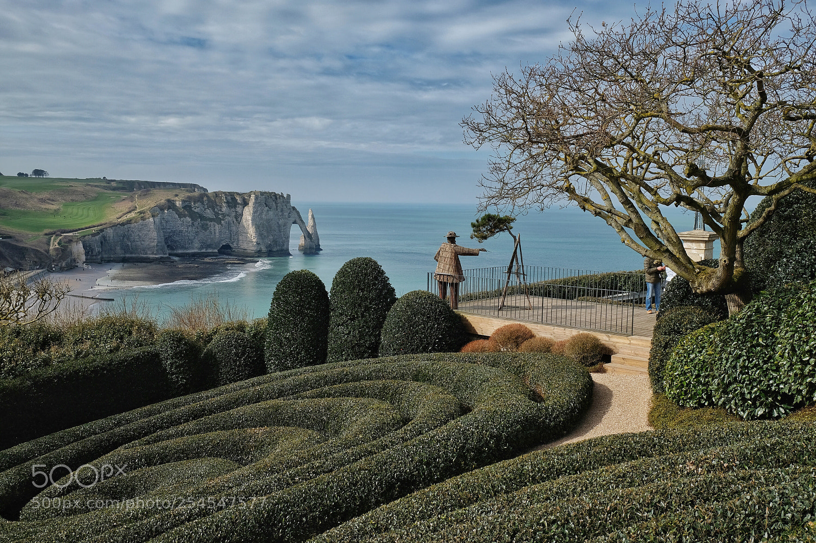 Fujifilm X-T2 sample photo. Monet in straw painting
 photography