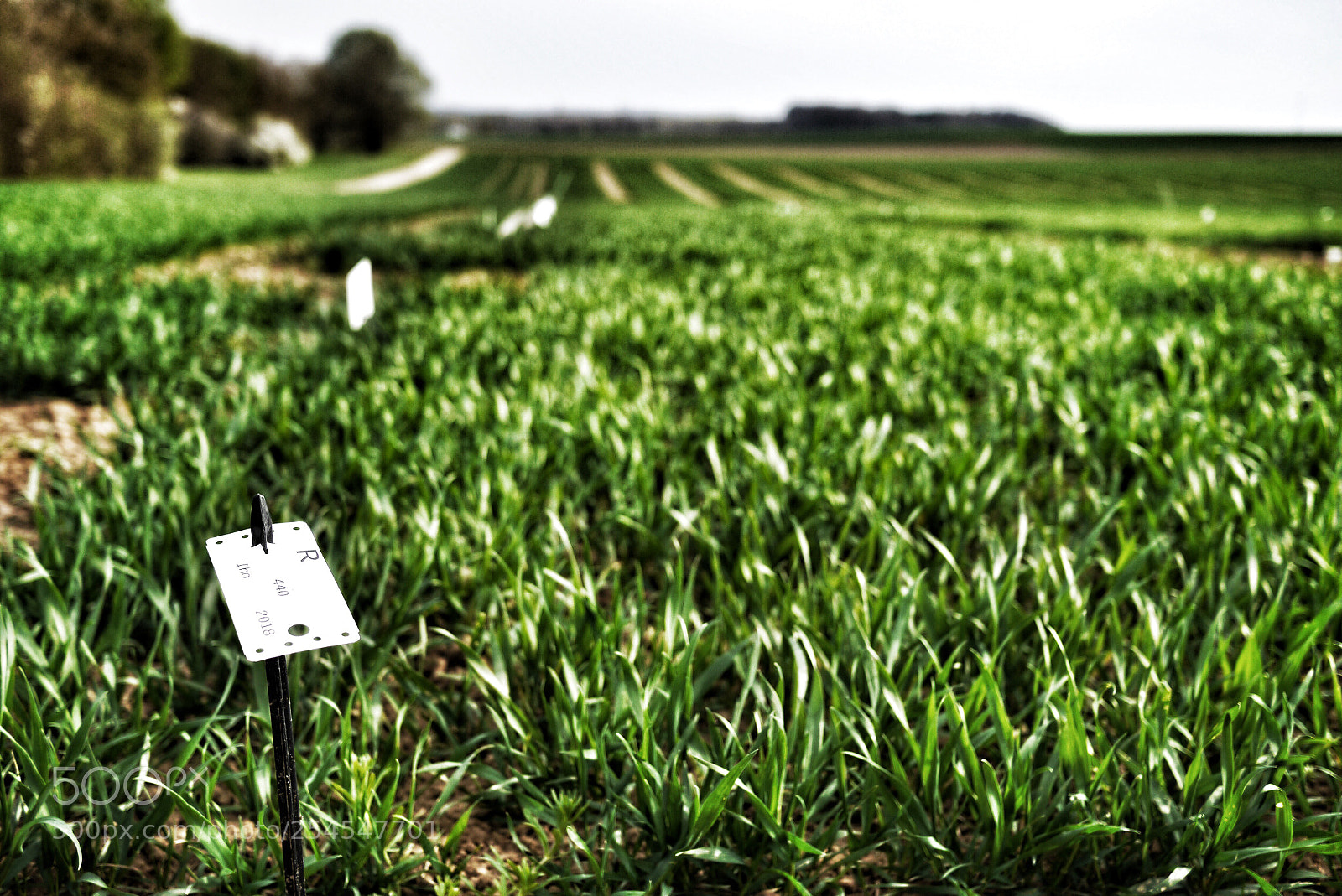 Panasonic Lumix DMC-G3 sample photo. Farming #100 photography