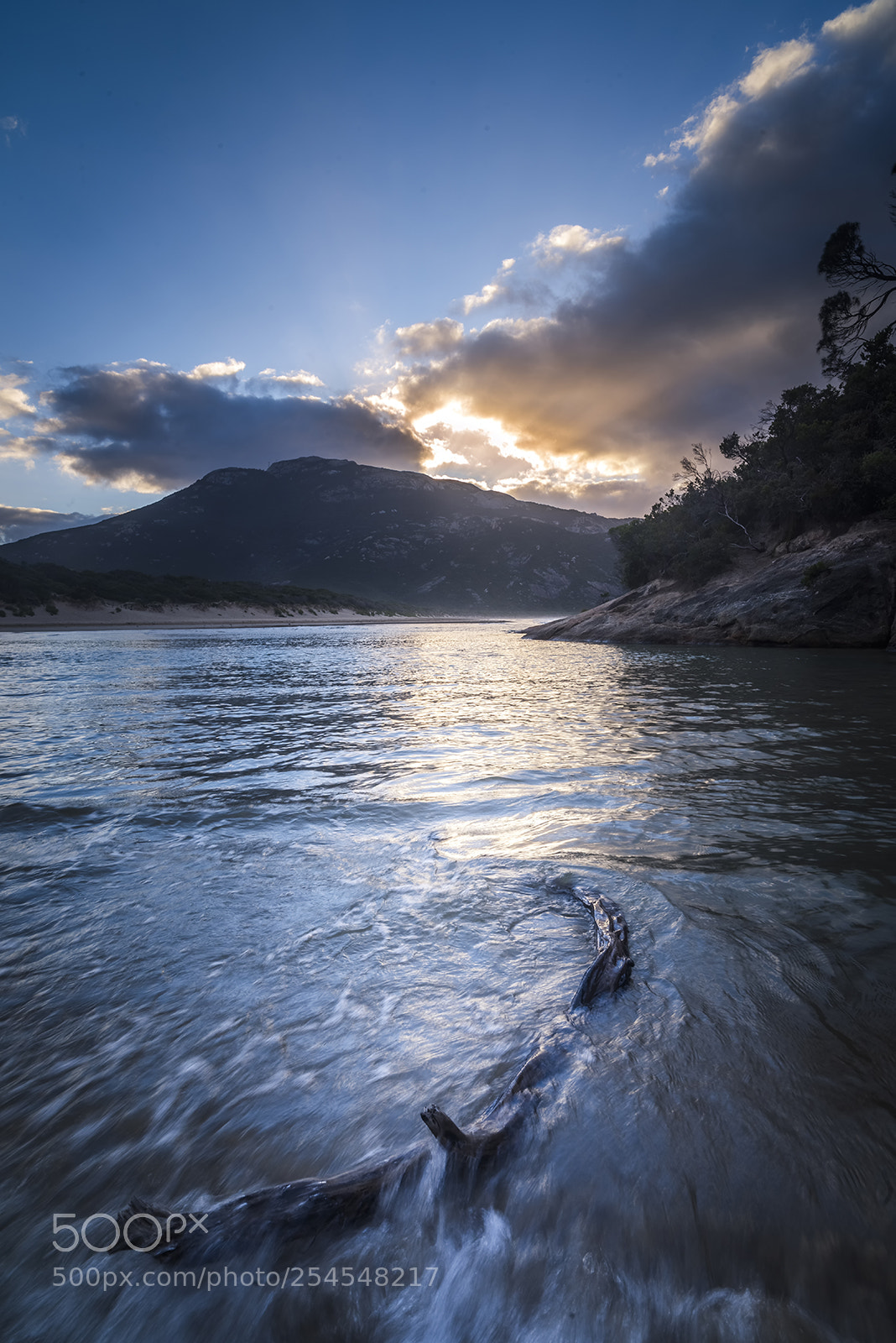 Nikon D810 sample photo. Morning norman beach photography