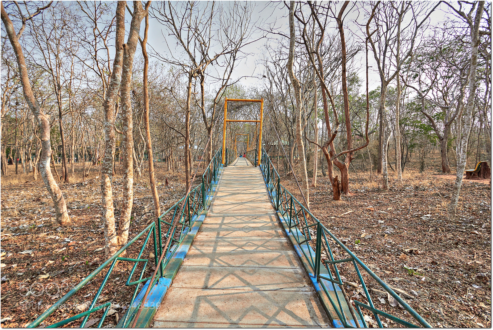 Canon EOS 550D (EOS Rebel T2i / EOS Kiss X4) sample photo. ** bridge to terabithia ** photography