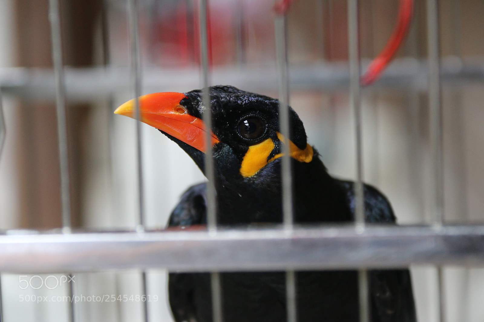 Canon EF-S 18-200mm F3.5-5.6 IS sample photo. Untitled photography