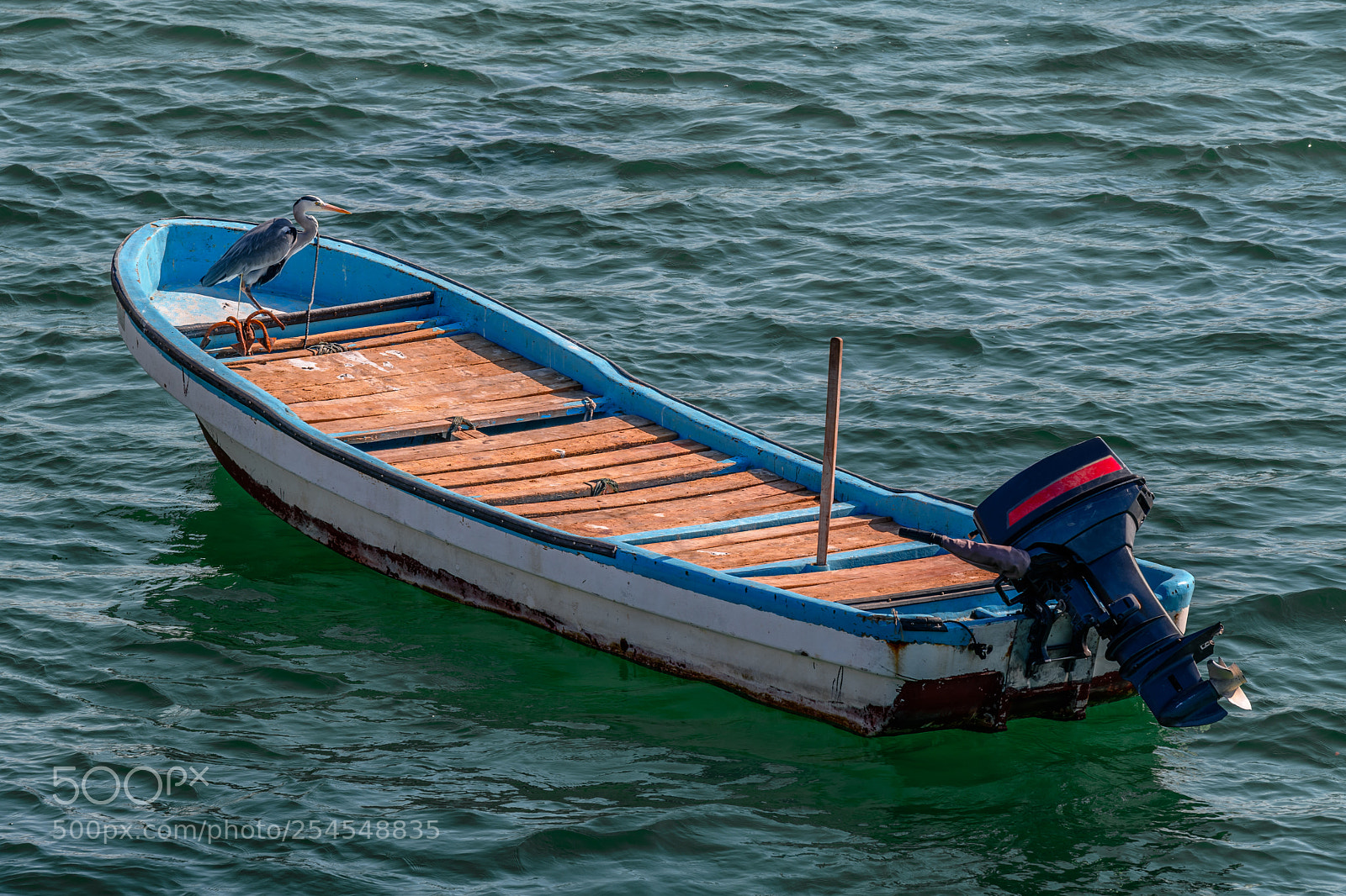 Nikon D850 sample photo. Grey heron boat resting photography