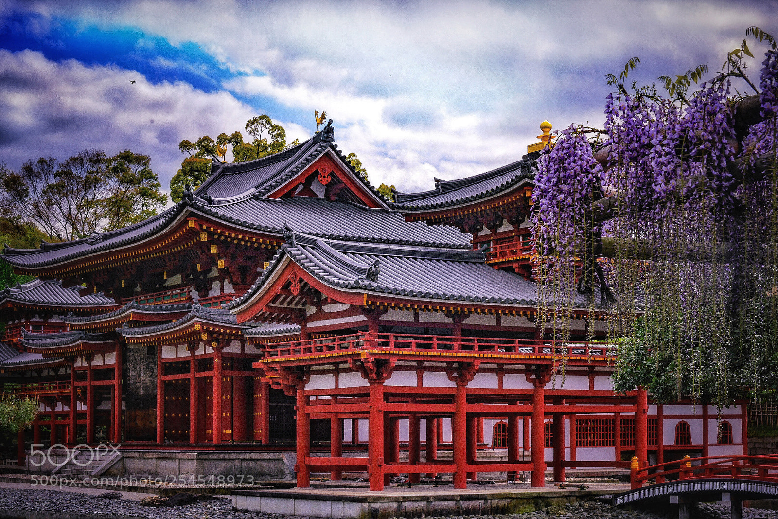 Nikon D850 sample photo. The phoenix hall of photography