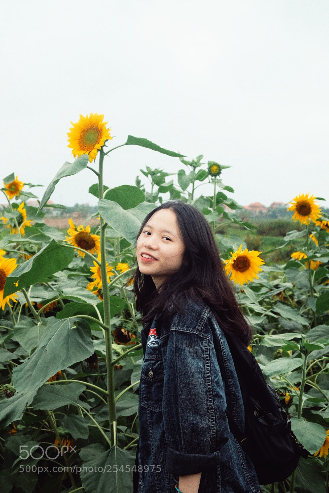 Fujifilm X-T10 sample photo. Untitled photography