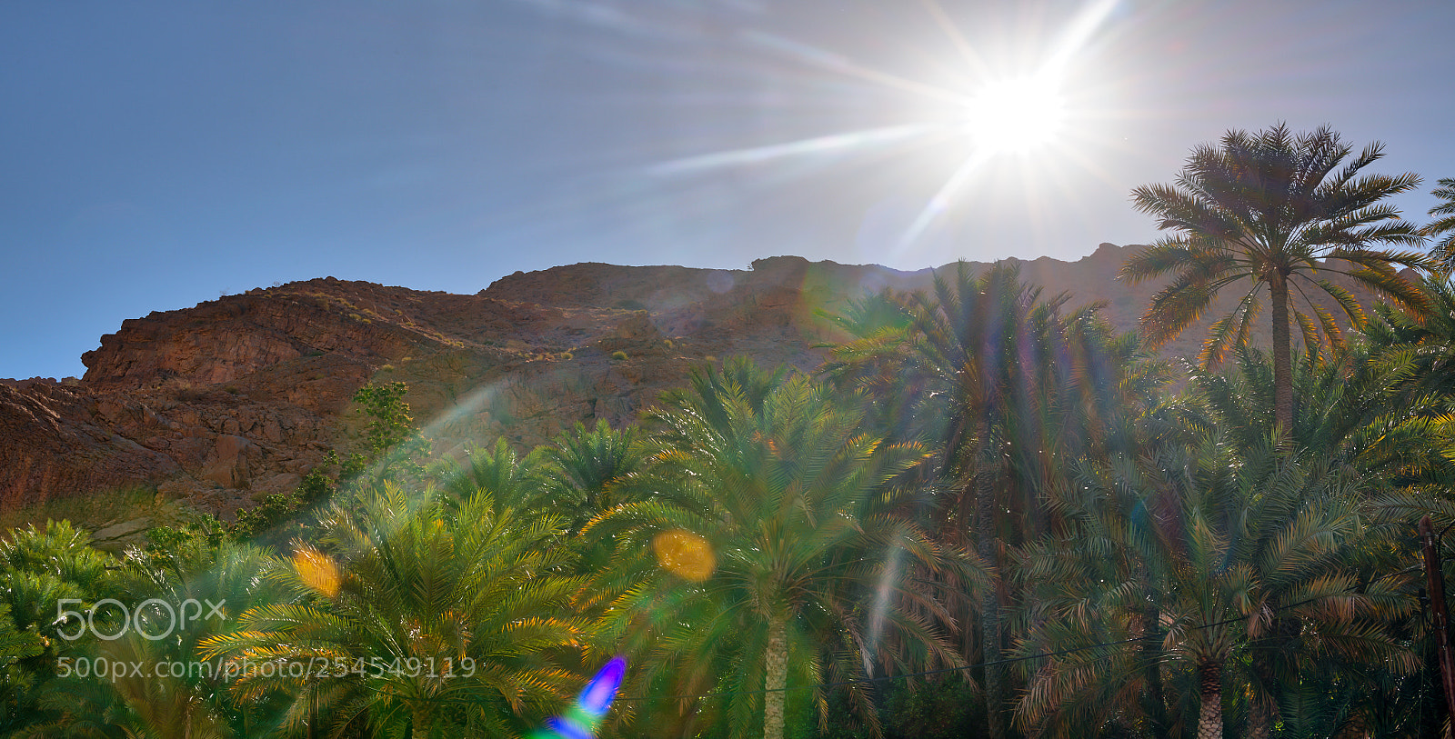 Nikon D850 sample photo. Oman oasis pano photography