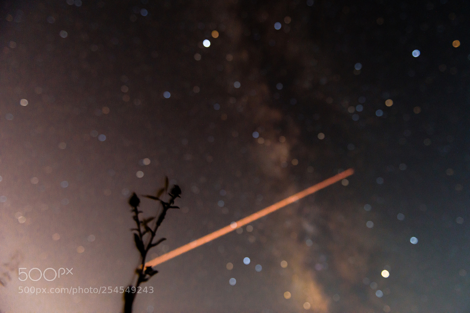 Nikon D810 sample photo. Perseid meteor shower shooting photography