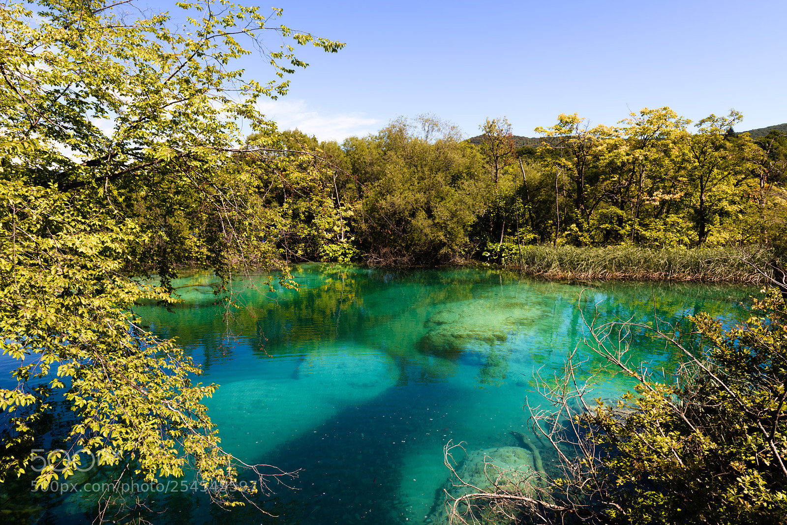 Nikon D810 sample photo. Plitvice national park clear photography