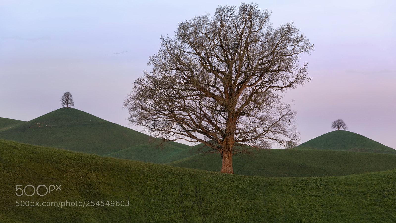 Canon EOS 5D Mark IV sample photo. At sunrise photography