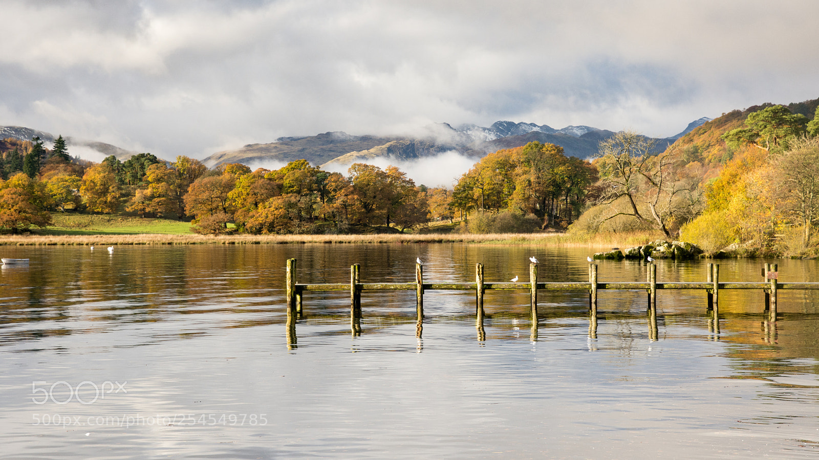 Nikon D7200 sample photo. Autumn morning on windermere photography