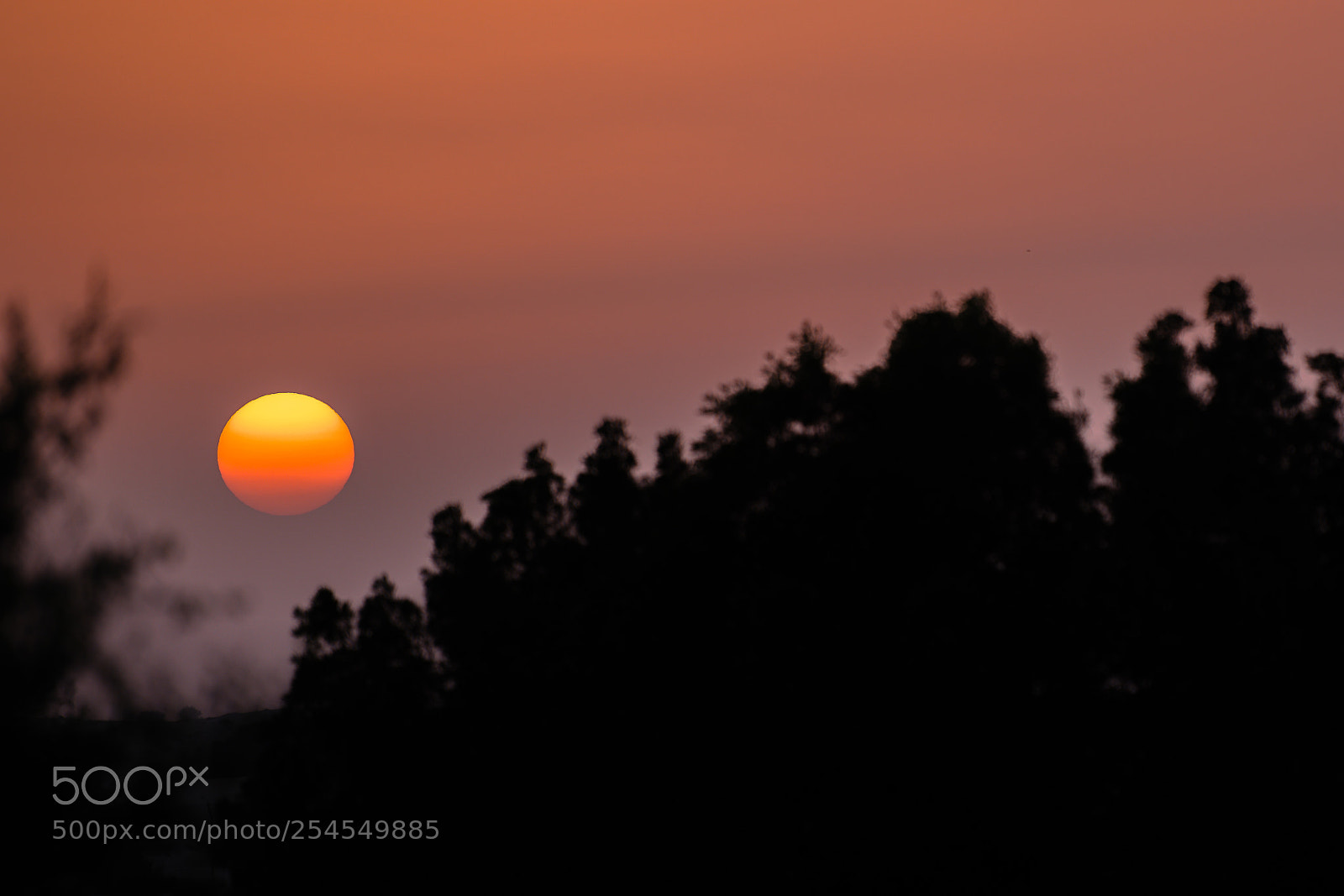 Nikon D850 sample photo. Setting desert sun over photography