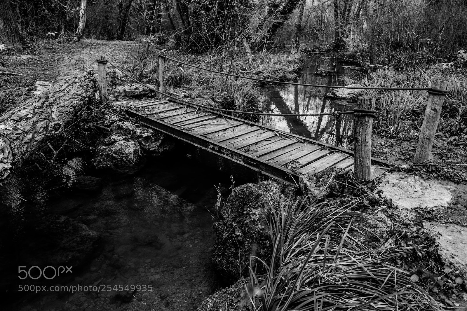 Nikon D3400 sample photo. Sentierlsa ponticello bw photography
