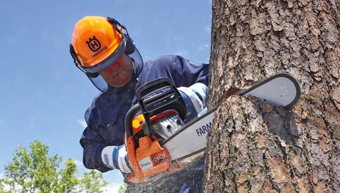 Canon EOS 5D sample photo. Tree pruning service photography