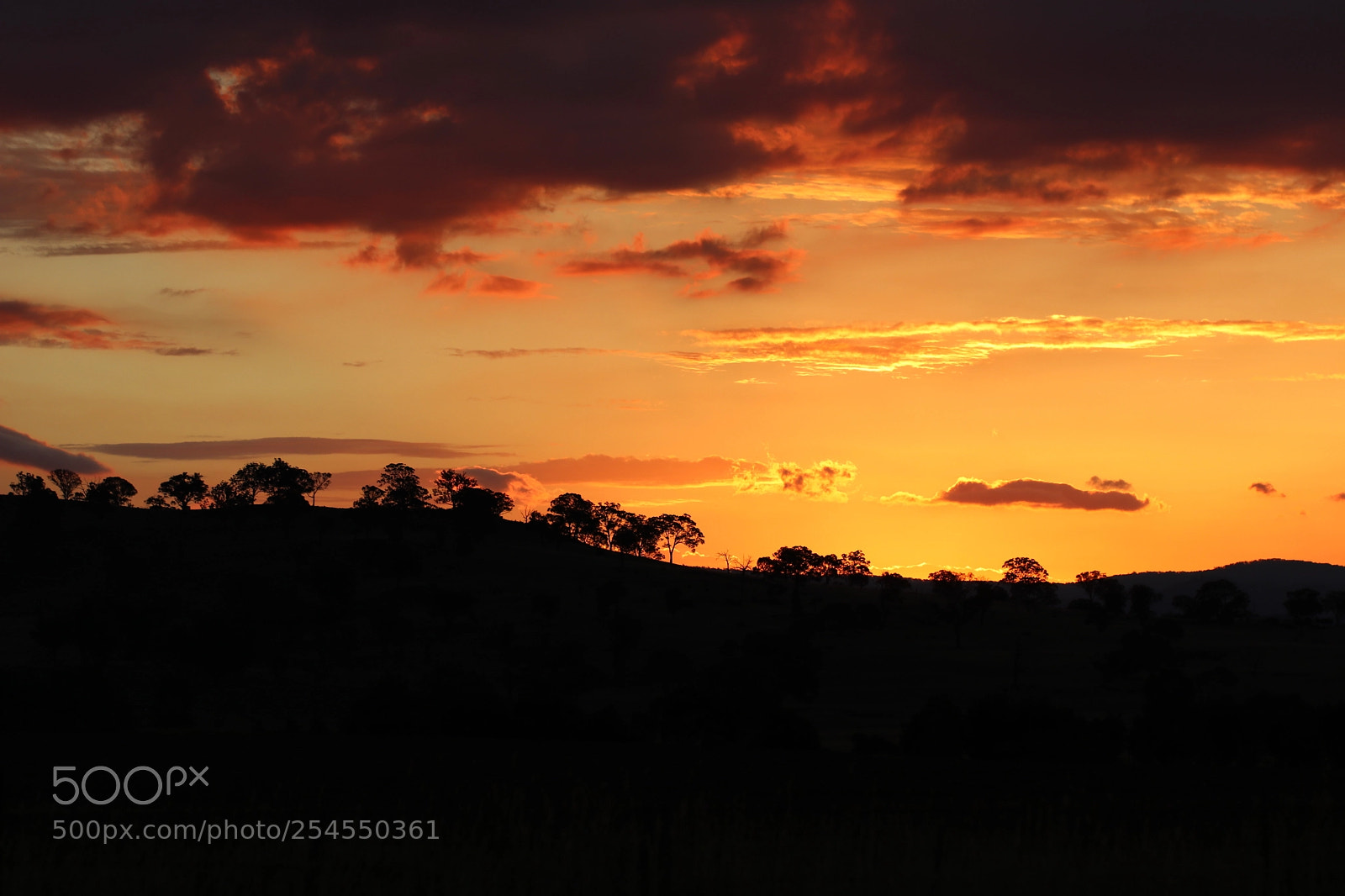 Canon EOS 80D sample photo. Wallaroo-2018.jpg photography