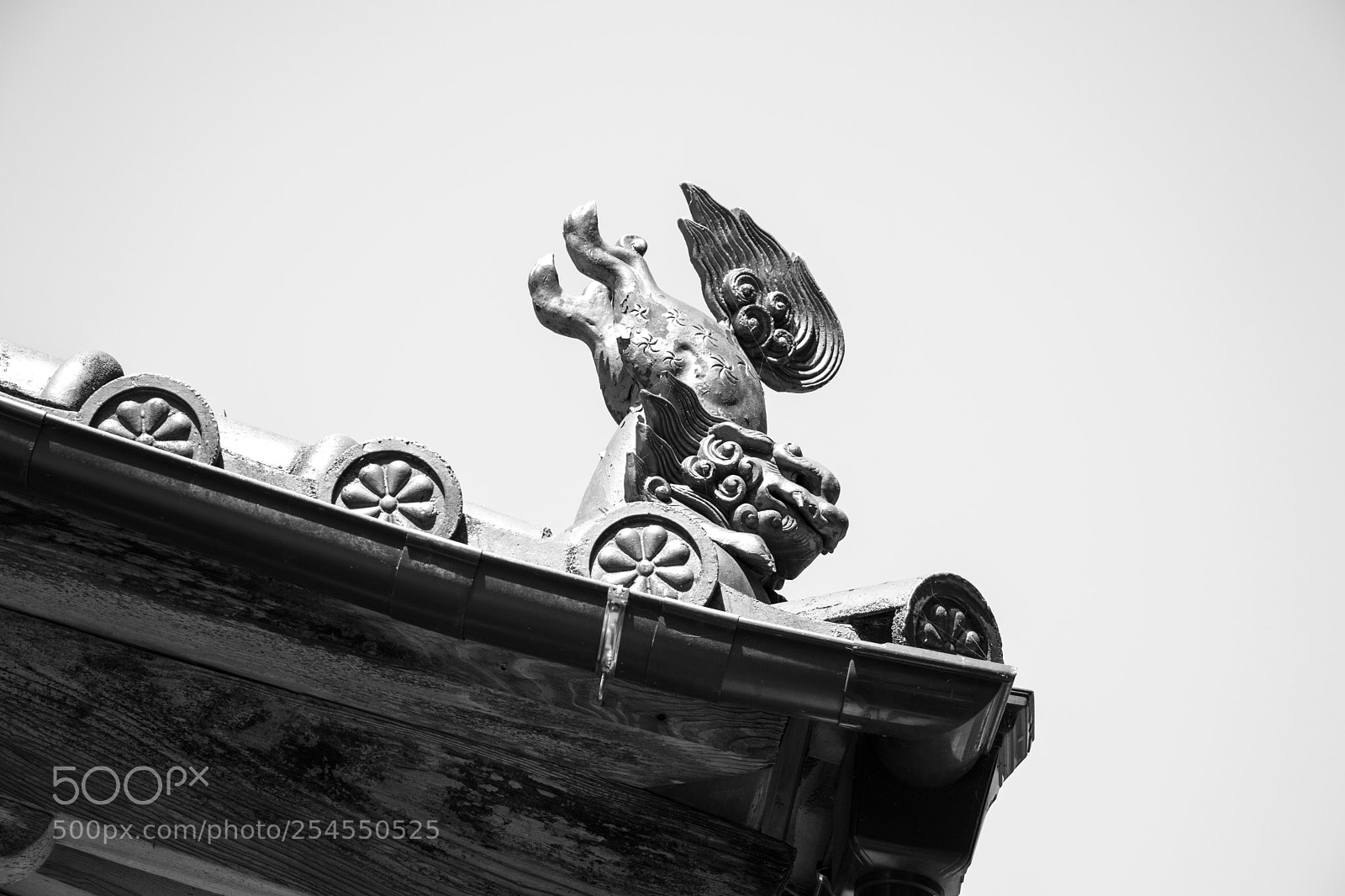 Canon EOS 80D sample photo. 049.jpg photography
