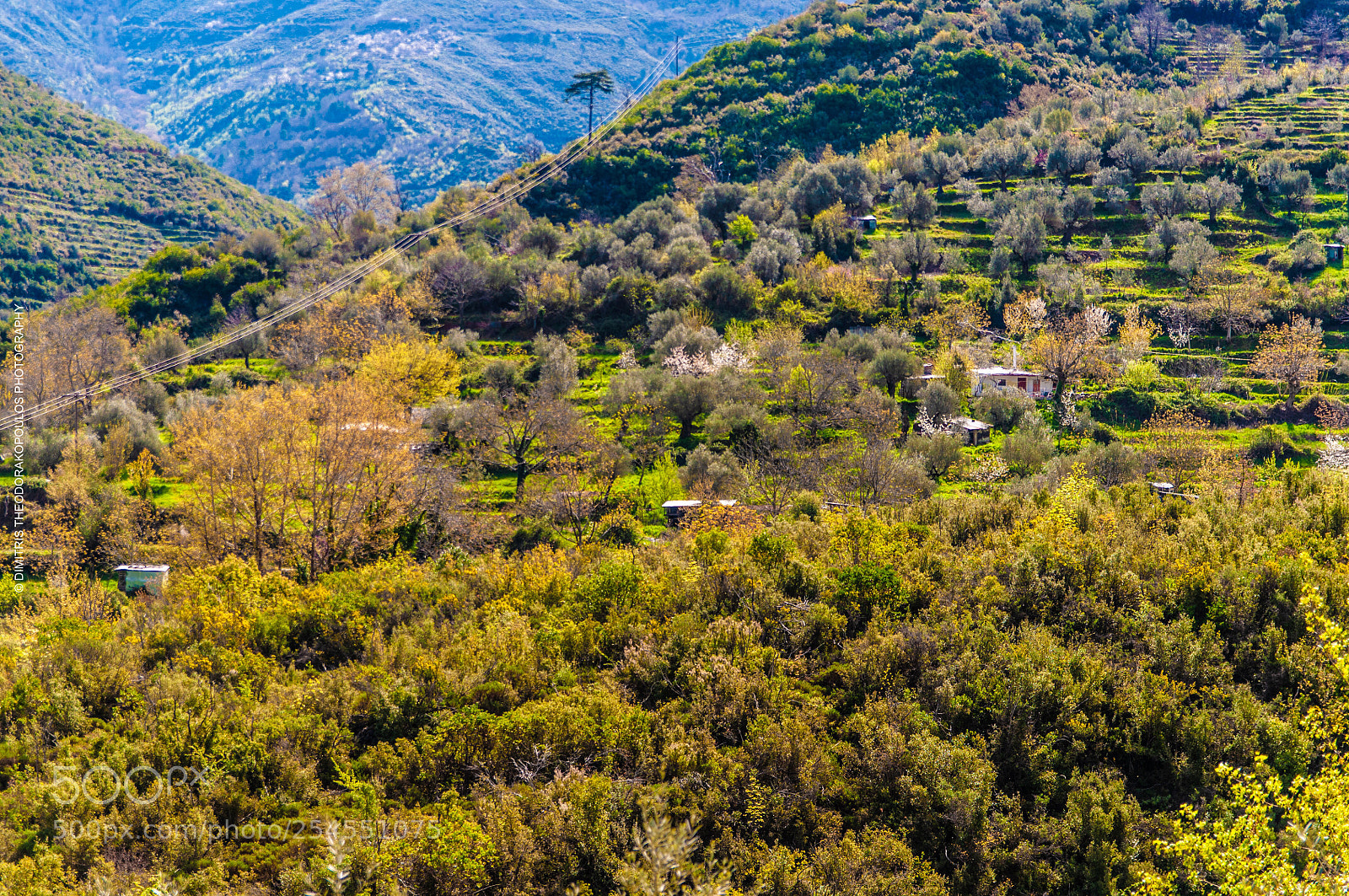 Nikon D5000 sample photo. Alagonia kalamata greece  photography