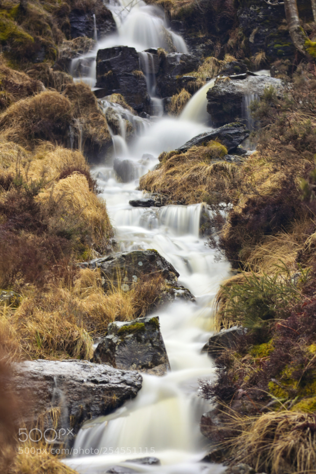 Nikon D7200 sample photo. Split waters photography