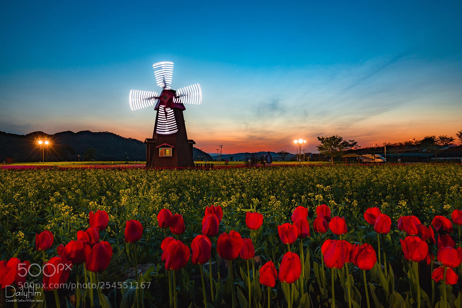 Canon EOS 6D Mark II sample photo. Windmill  photography