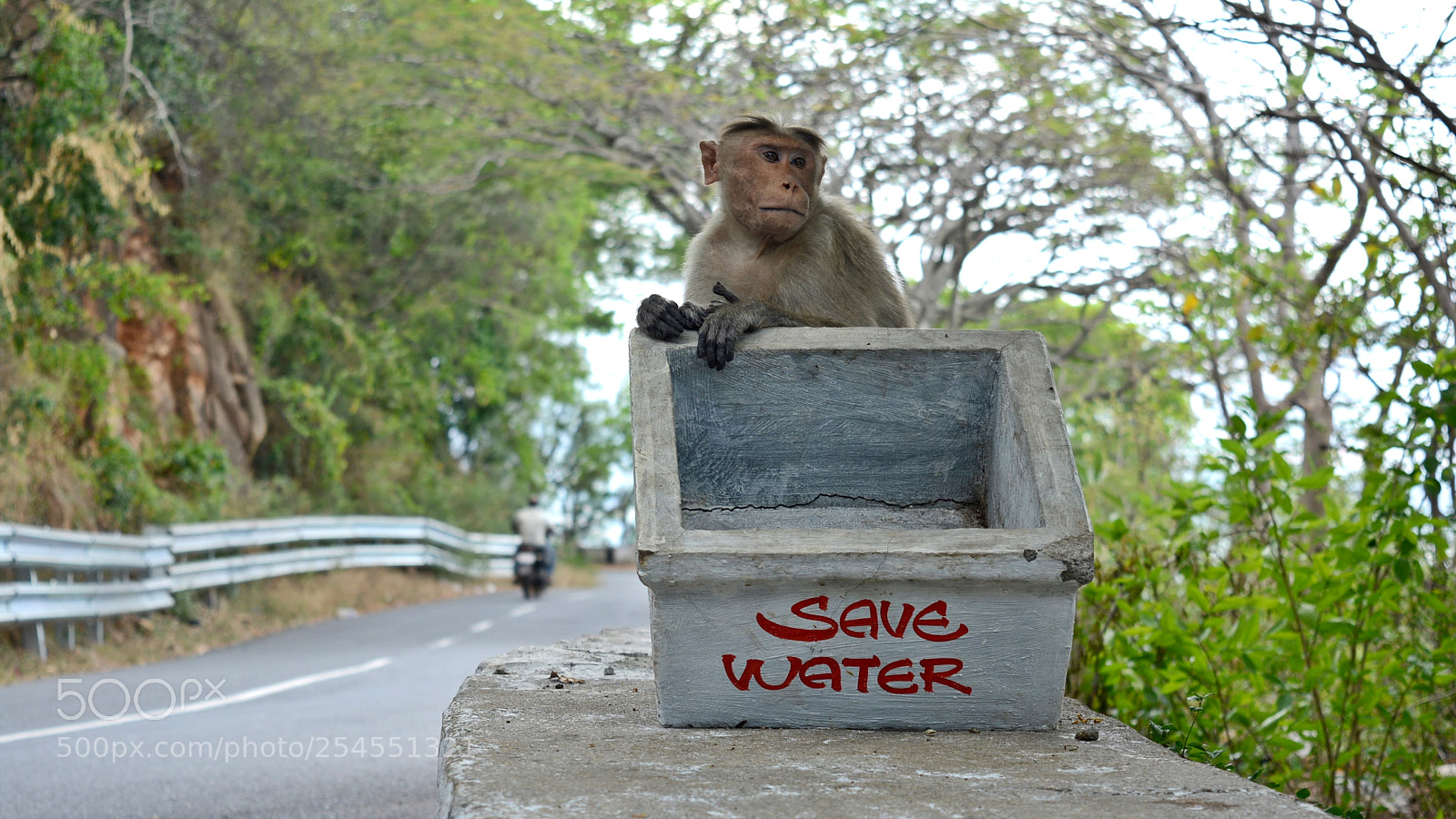 Nikon D5200 sample photo. Save water photography