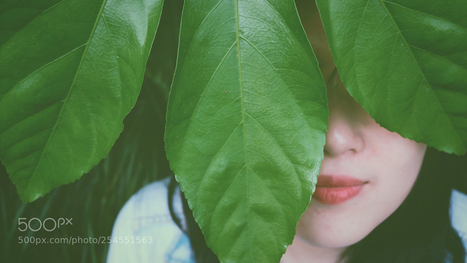 Fujifilm X-T20 sample photo. Untitled photography