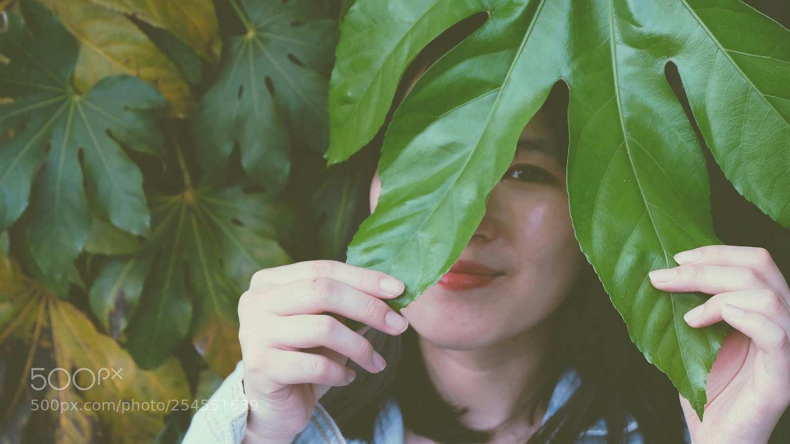 Fujifilm X-T20 sample photo. Untitled photography