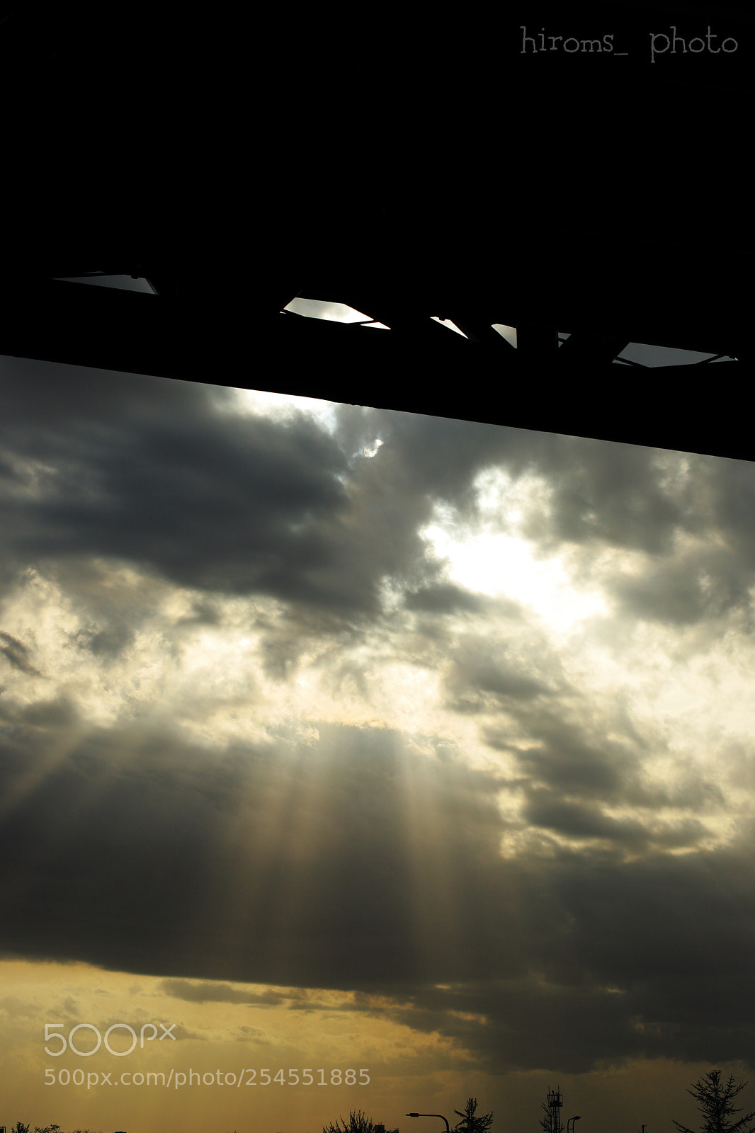 Canon EOS 6D Mark II sample photo. Untitled photography