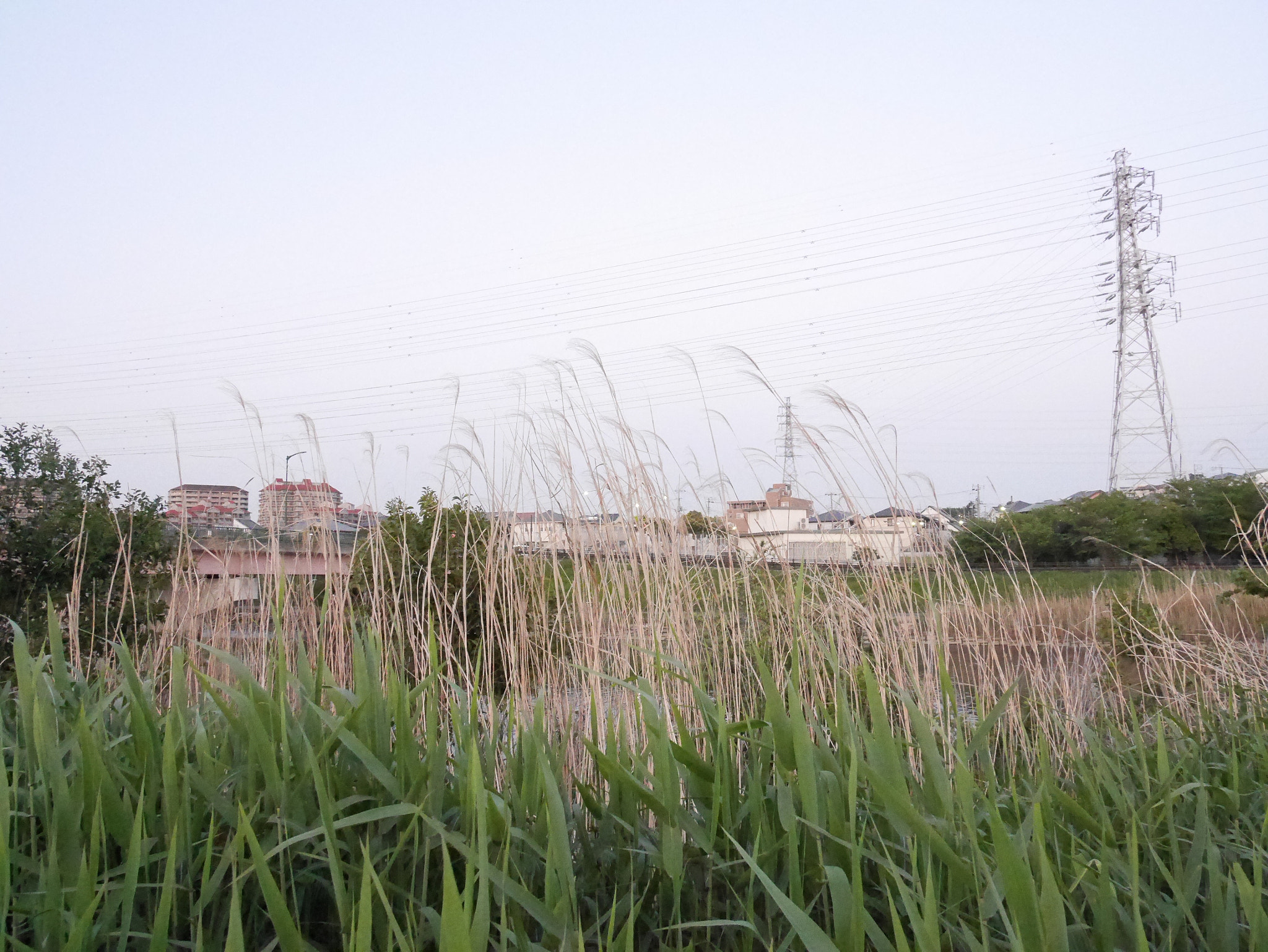 Panasonic Lumix DMC-GF7 sample photo