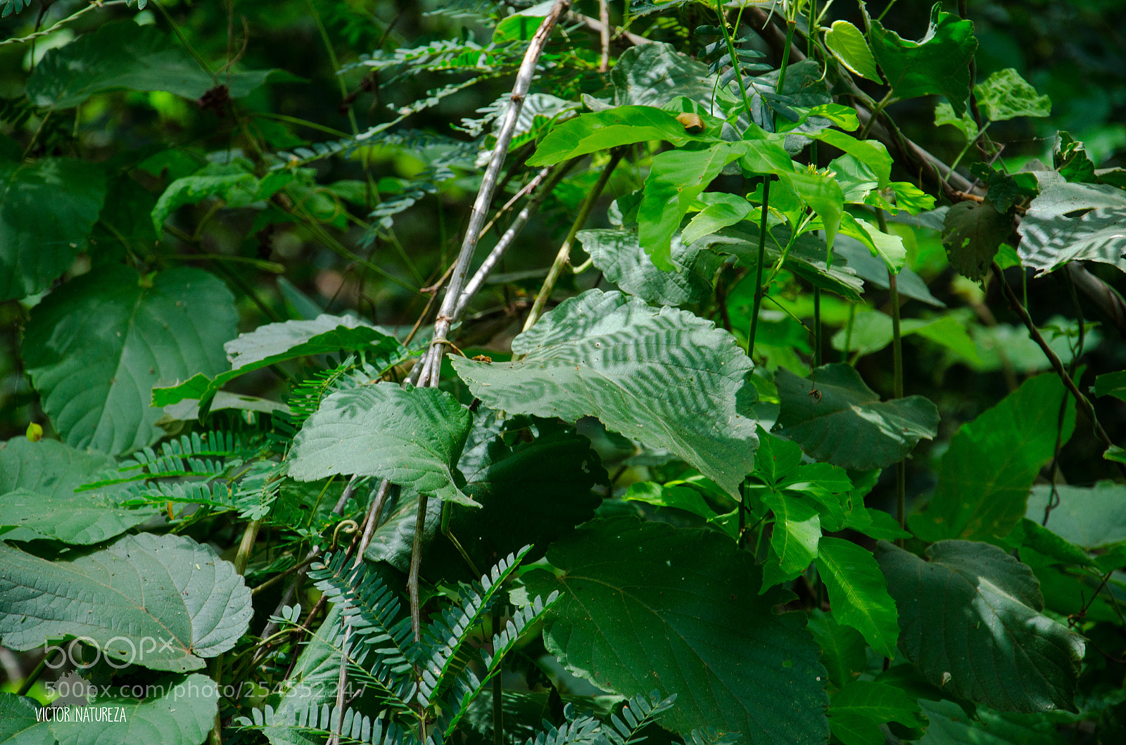 Nikon D7000 sample photo. Untitled photography