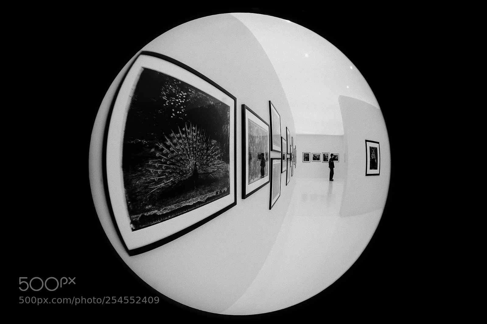 Canon EOS 60D sample photo. Photo exhibition photography