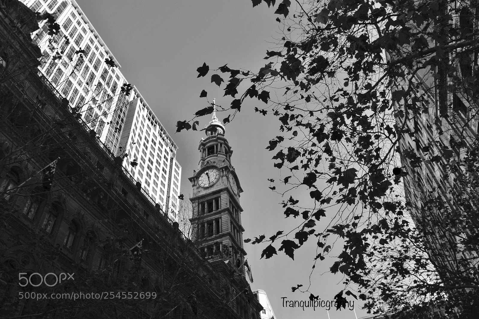 Nikon D3300 sample photo. Sydney cbd photography