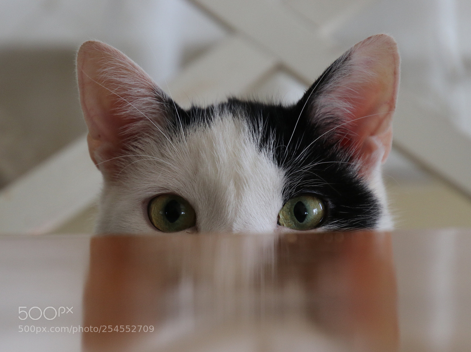 Canon EOS 80D sample photo. Untitled photography