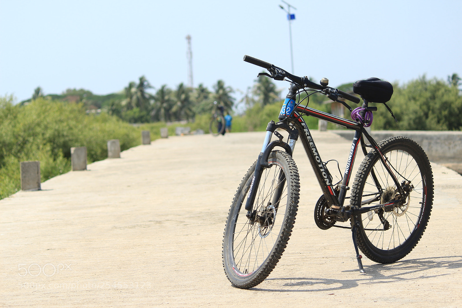 Canon EF-S 55-250mm F4-5.6 IS II sample photo. Img photography