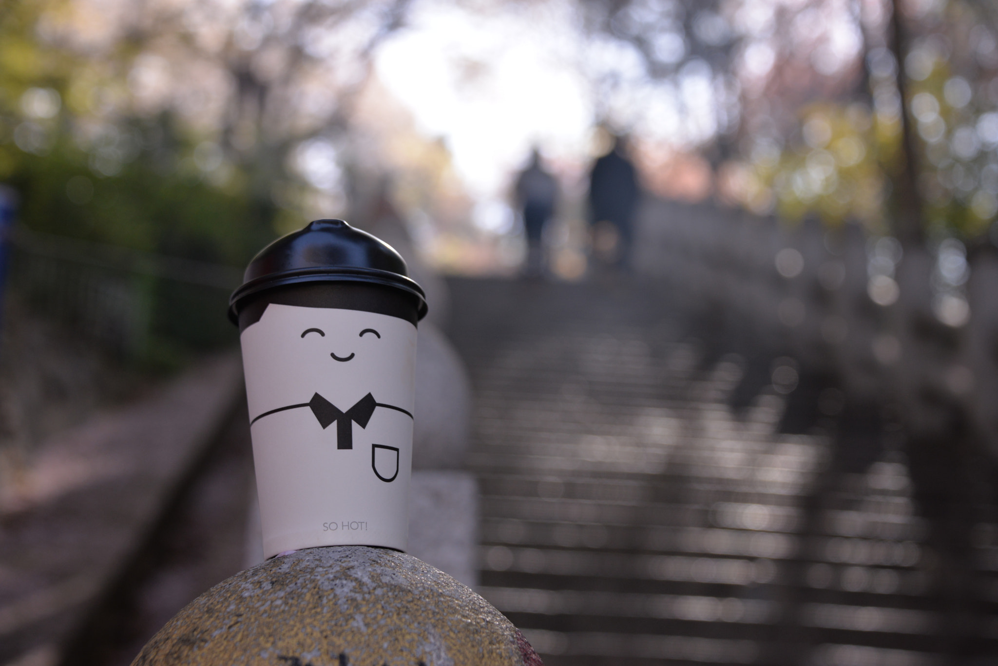 Nikon D610 sample photo