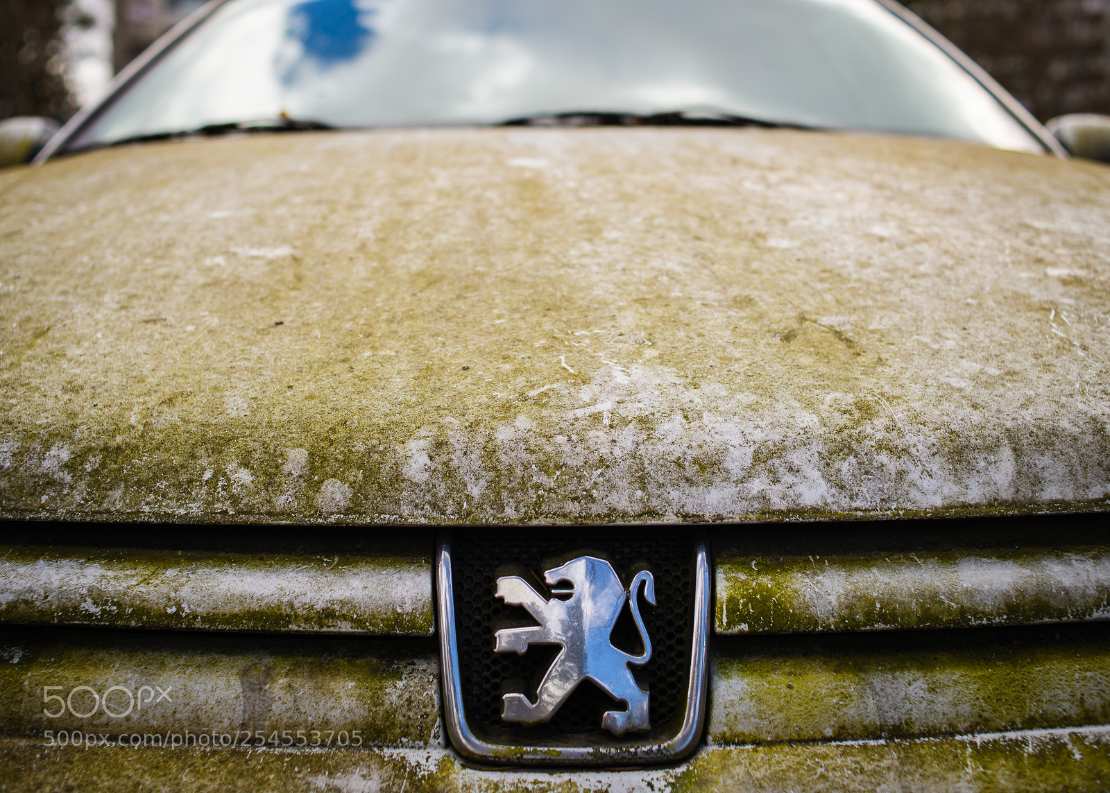 Nikon D600 sample photo. Abandoned peugeot photography