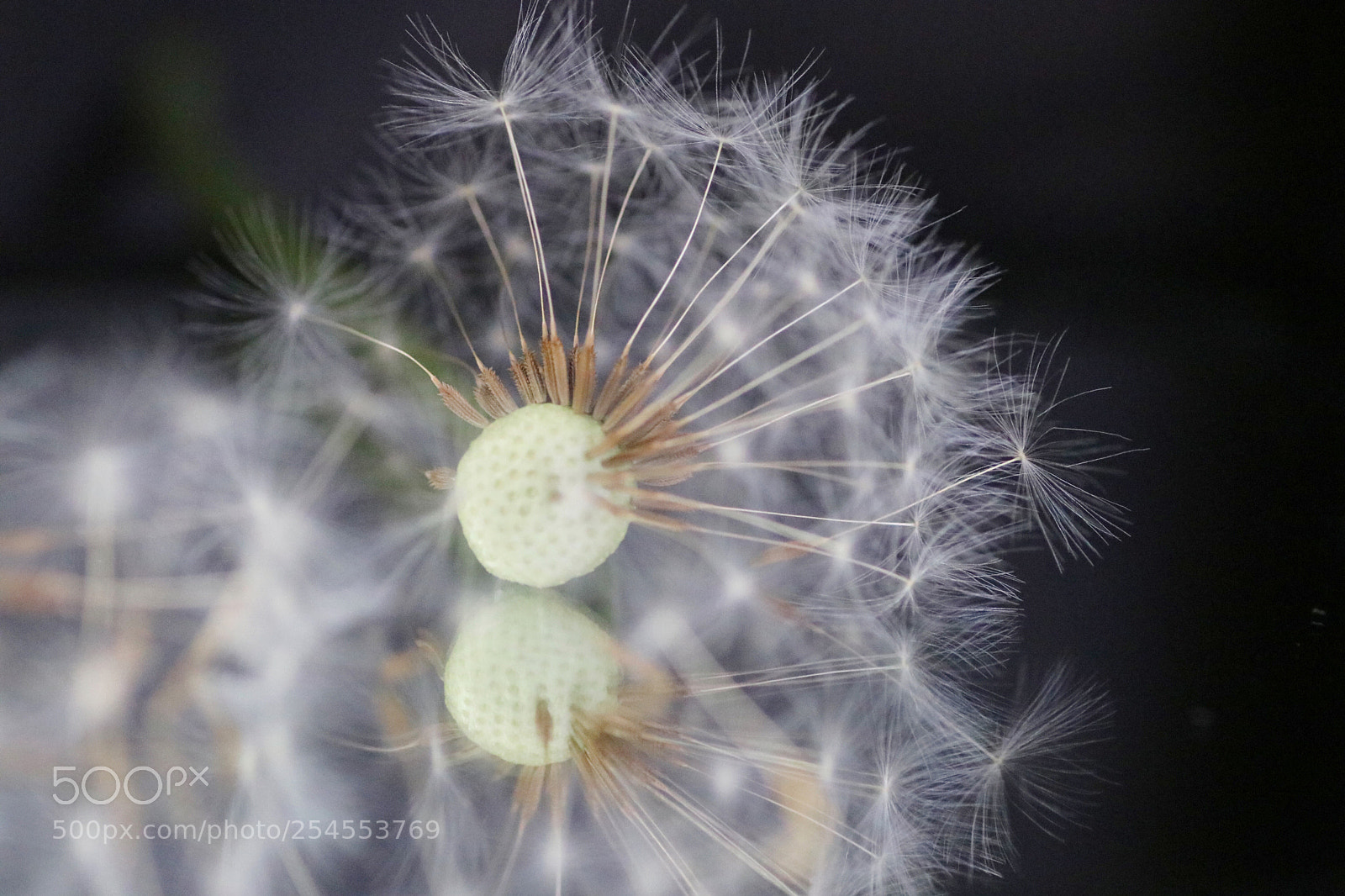 Canon EOS 80D sample photo. Untitled photography