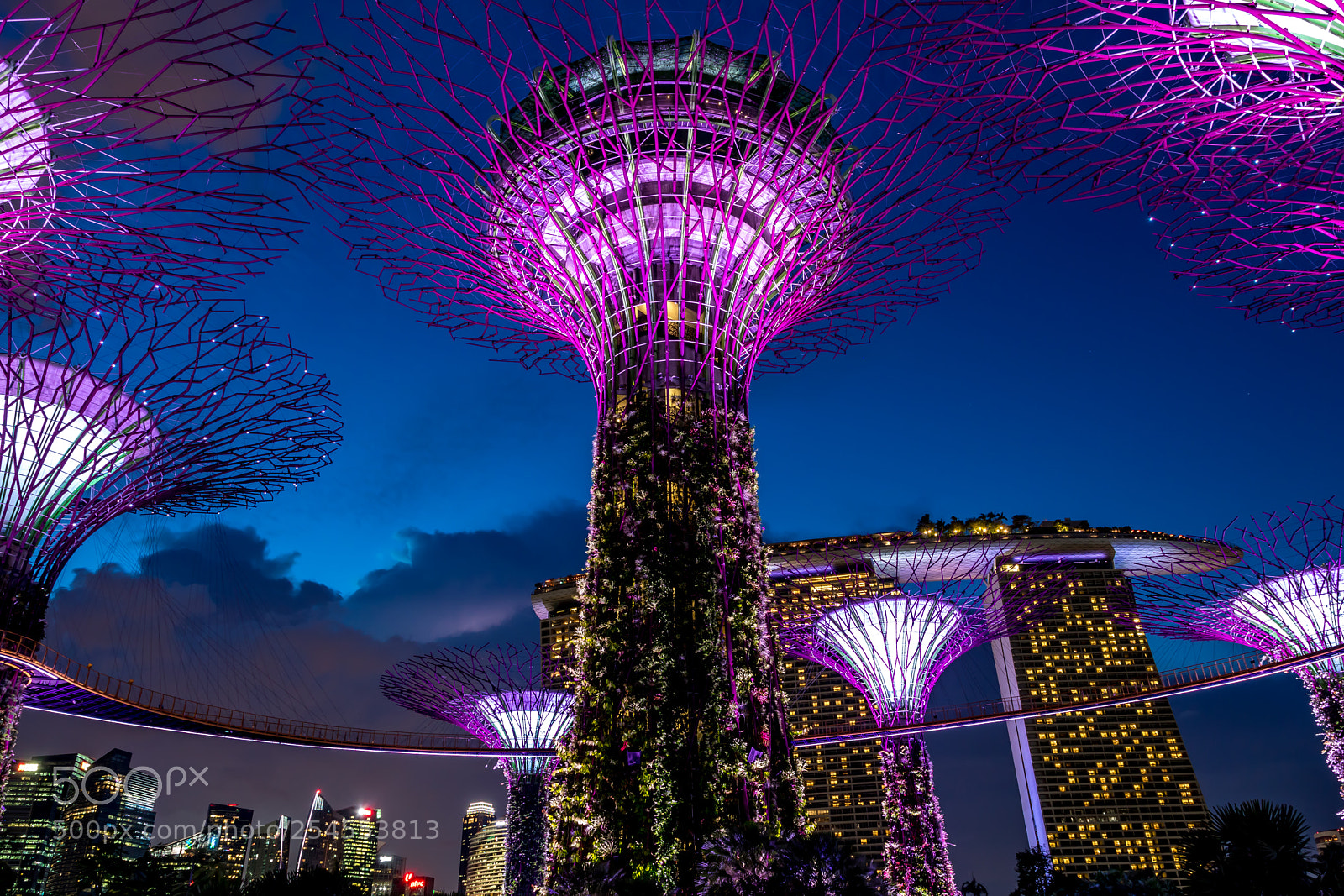 Canon EOS 750D (EOS Rebel T6i / EOS Kiss X8i) sample photo. Supertree grove, gardens by photography