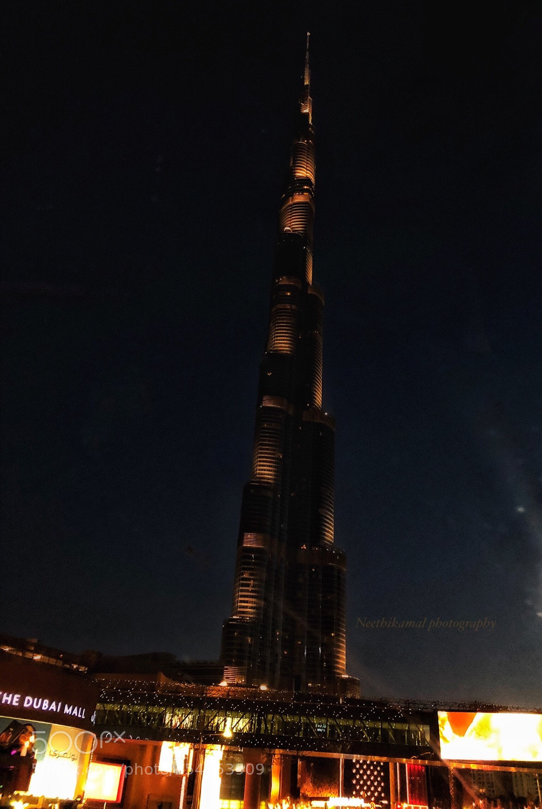 Apple iPhone 8 Plus sample photo. The tallest building  photography