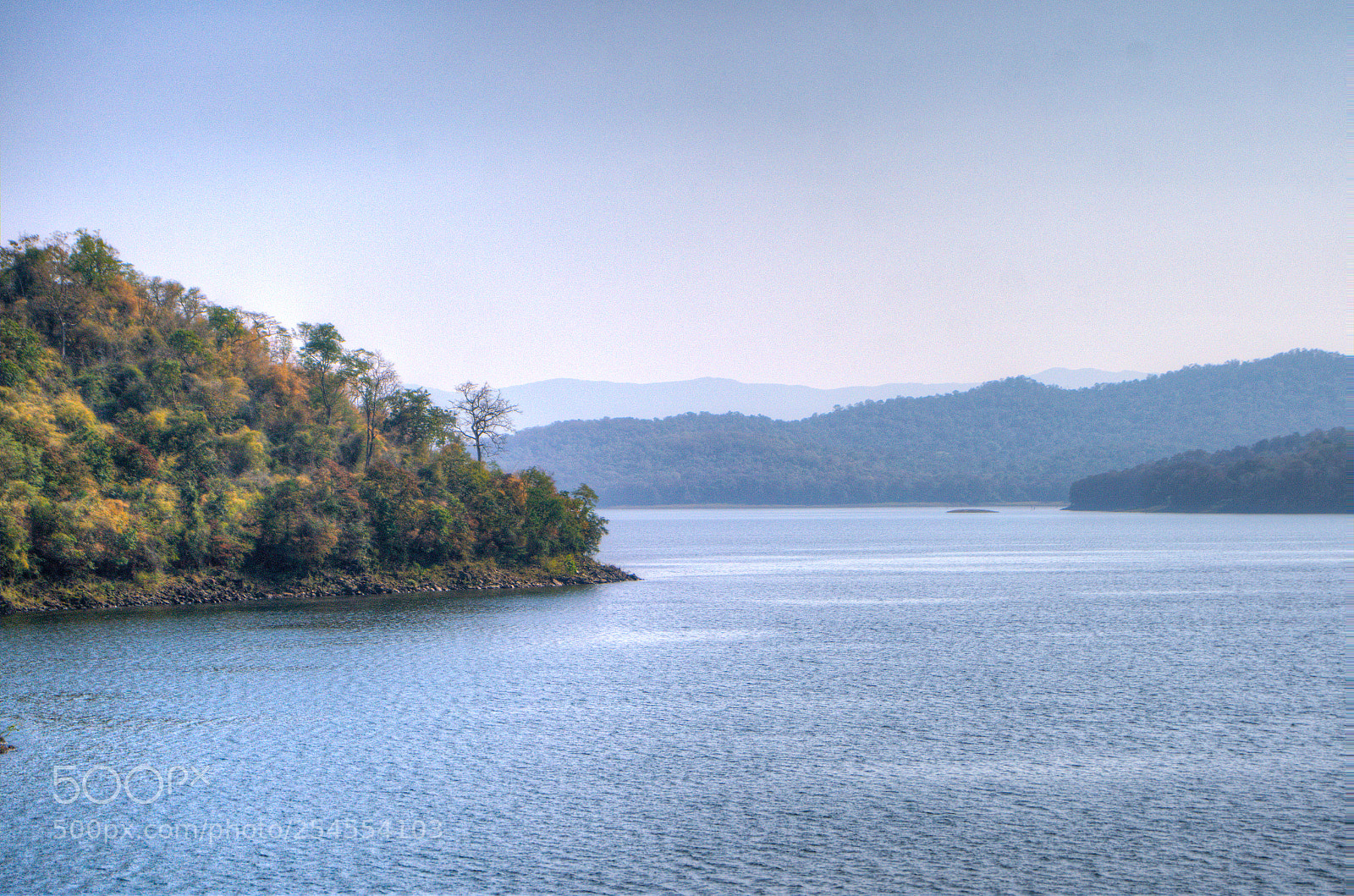 Sony a99 II sample photo. Bhadra backwaters photography