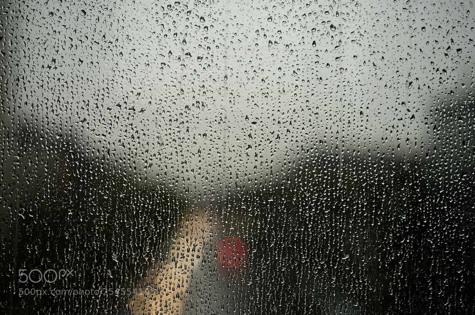 Sony a7 II sample photo. Rainy weather photography