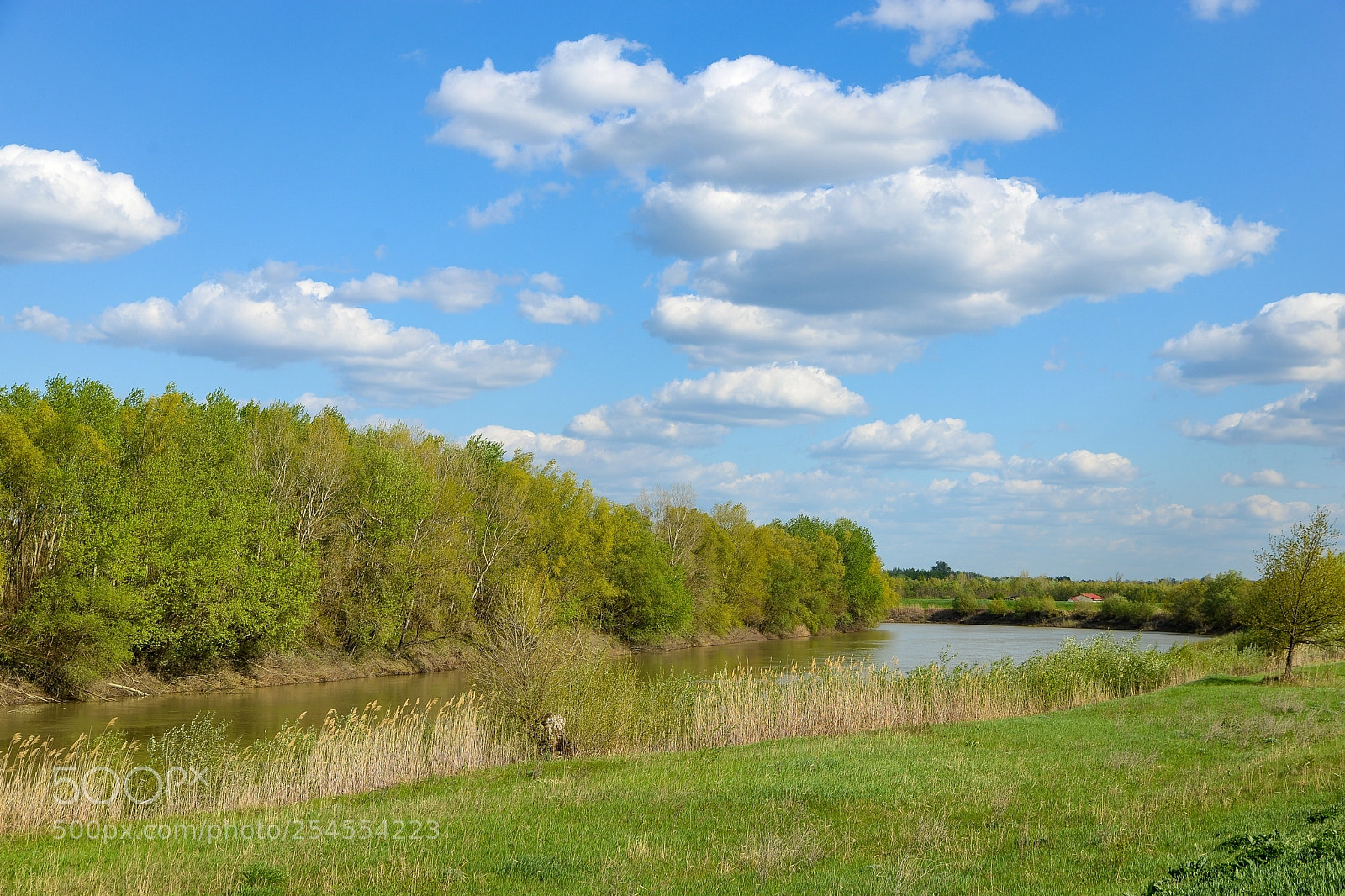 Nikon D610 sample photo. Colours photography