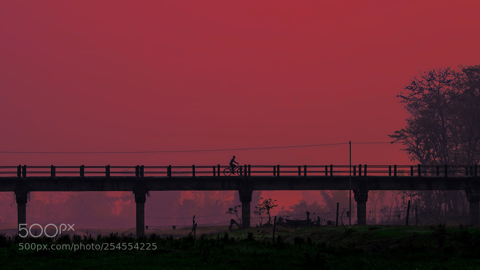 Nikon D610 sample photo. Bridge photography