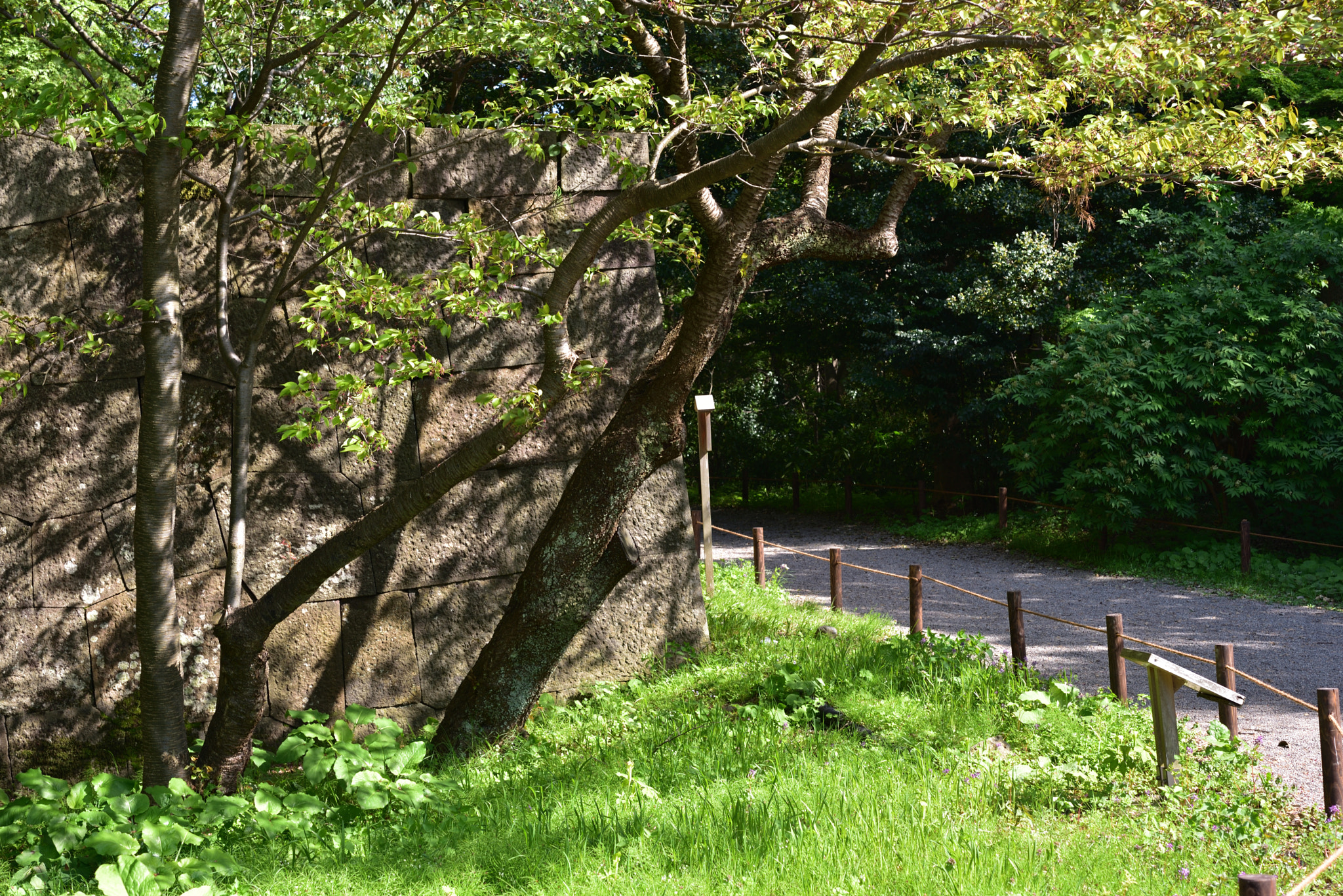 Nikon D750 + Nikon AF-S Micro-Nikkor 60mm F2.8G ED sample photo. 鉄門跡（くろがねもんあと） 金沢城公園 photography