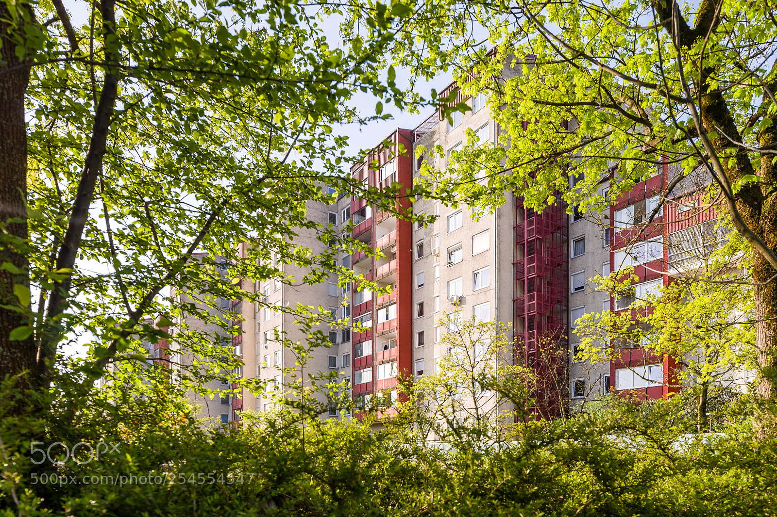 Canon EOS 5D sample photo. Urban jungle photography