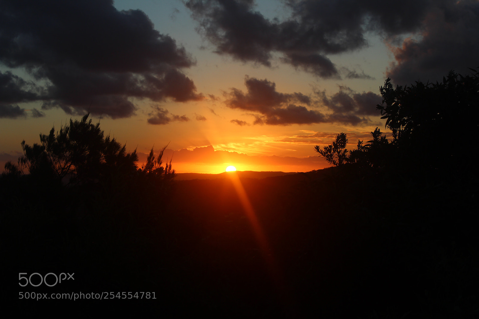Canon EOS 600D (Rebel EOS T3i / EOS Kiss X5) sample photo. A dark sunset photography
