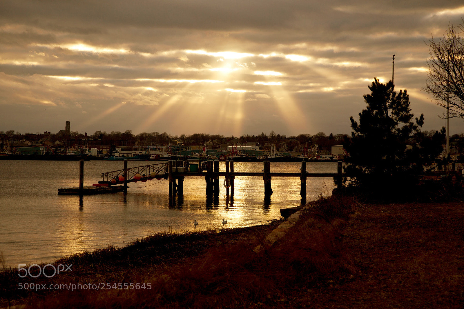 Canon EOS 5D Mark II sample photo. Into the sun photography