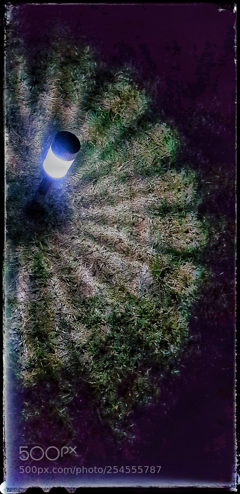 Samsung Galaxy S8+ sample photo. Untitled photography