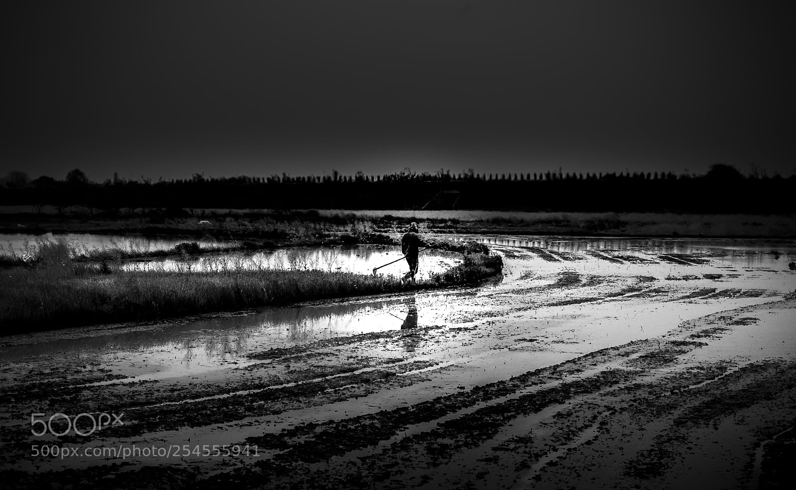 Nikon D810 sample photo. Farming in spring photography