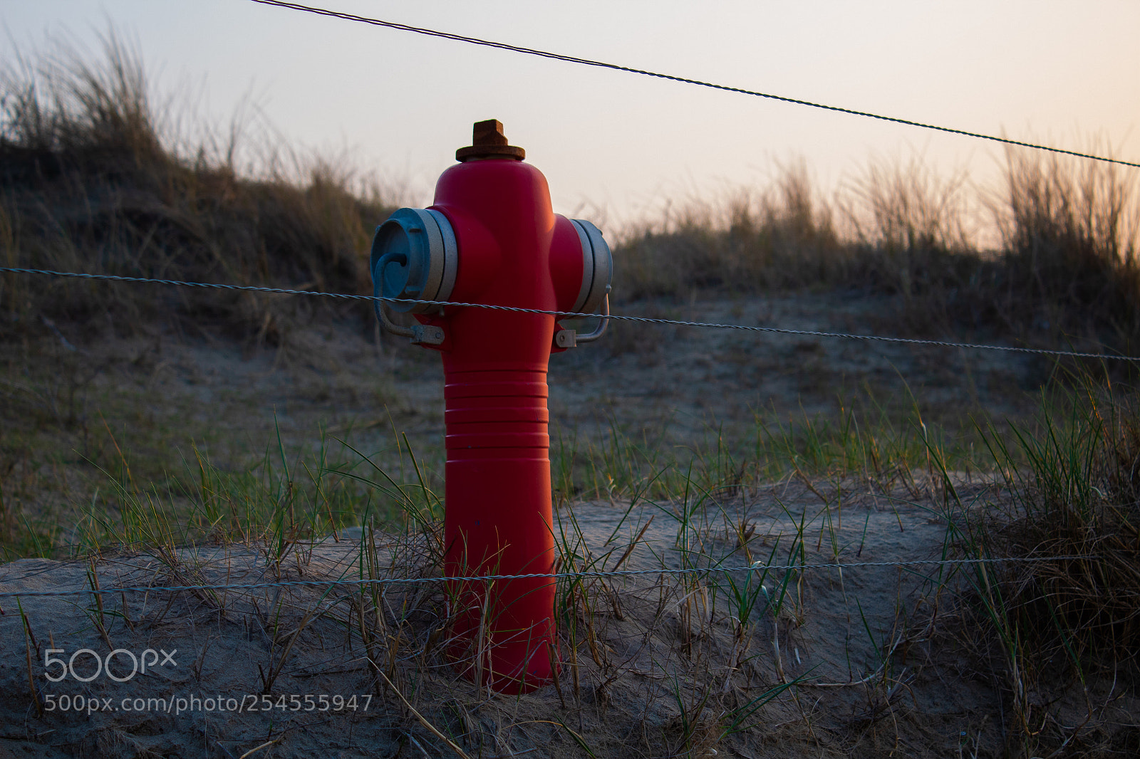 Canon EOS 1300D (EOS Rebel T6 / EOS Kiss X80) sample photo. Fire hydrant photography