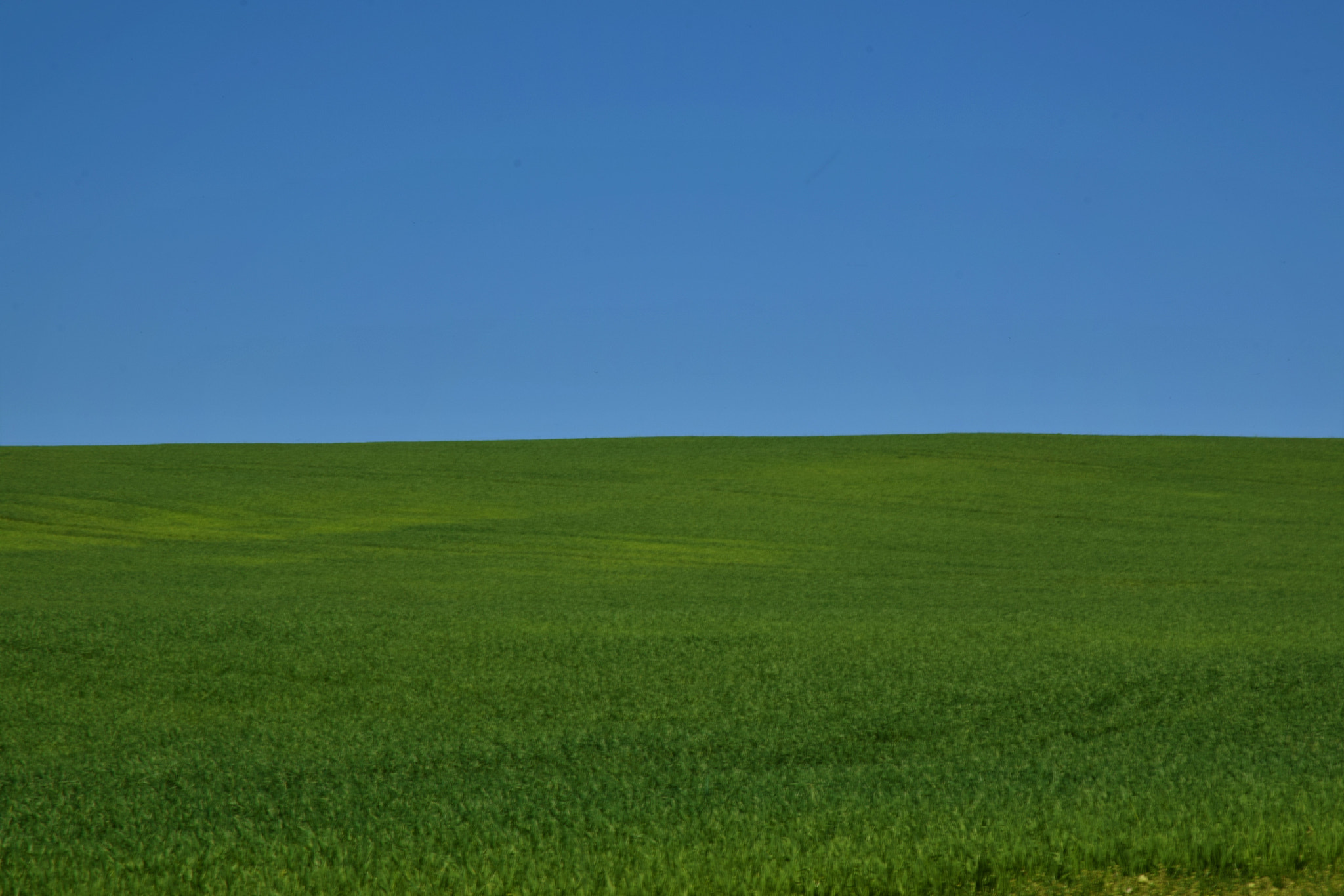 Nikon D5300 sample photo
